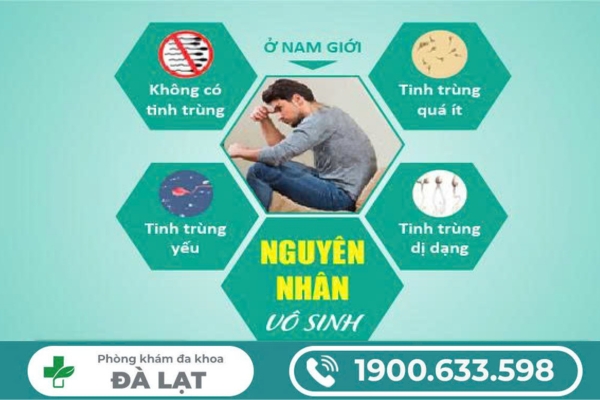 Hình ảnh minh họa